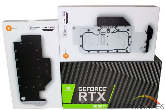 ek_vector_rtx_31