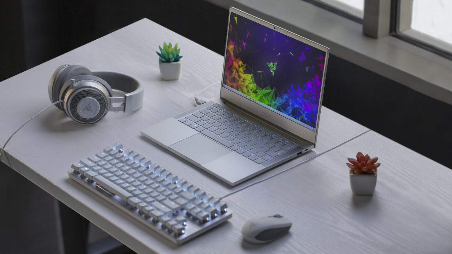 Razer Blade Stealth 2