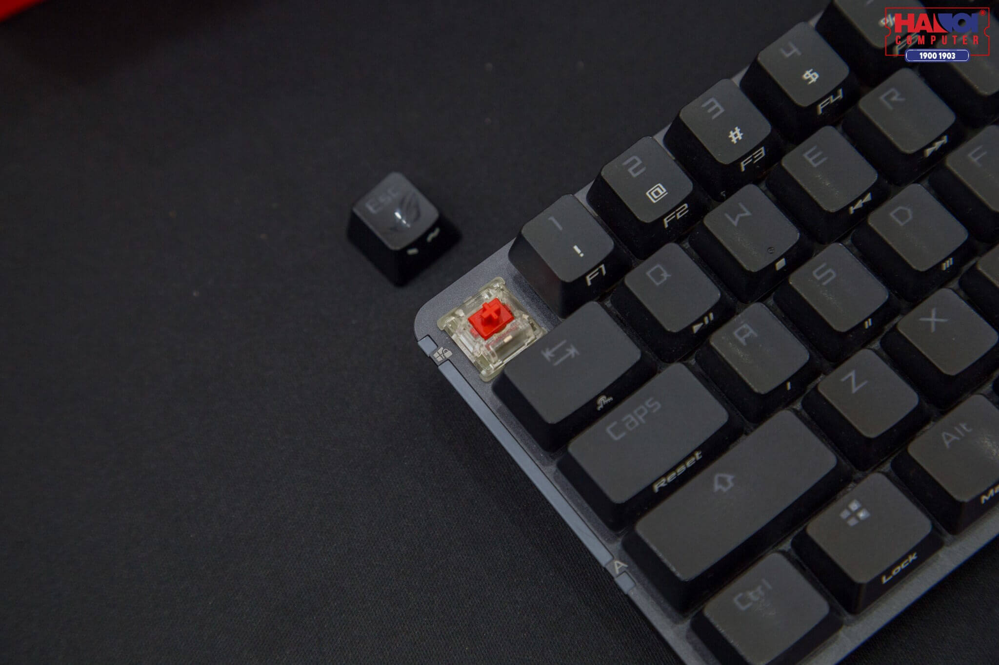 Switch và Keycap của bàn phím Asus ROG Falchion