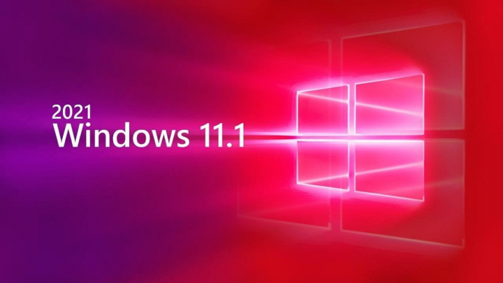 windows 11