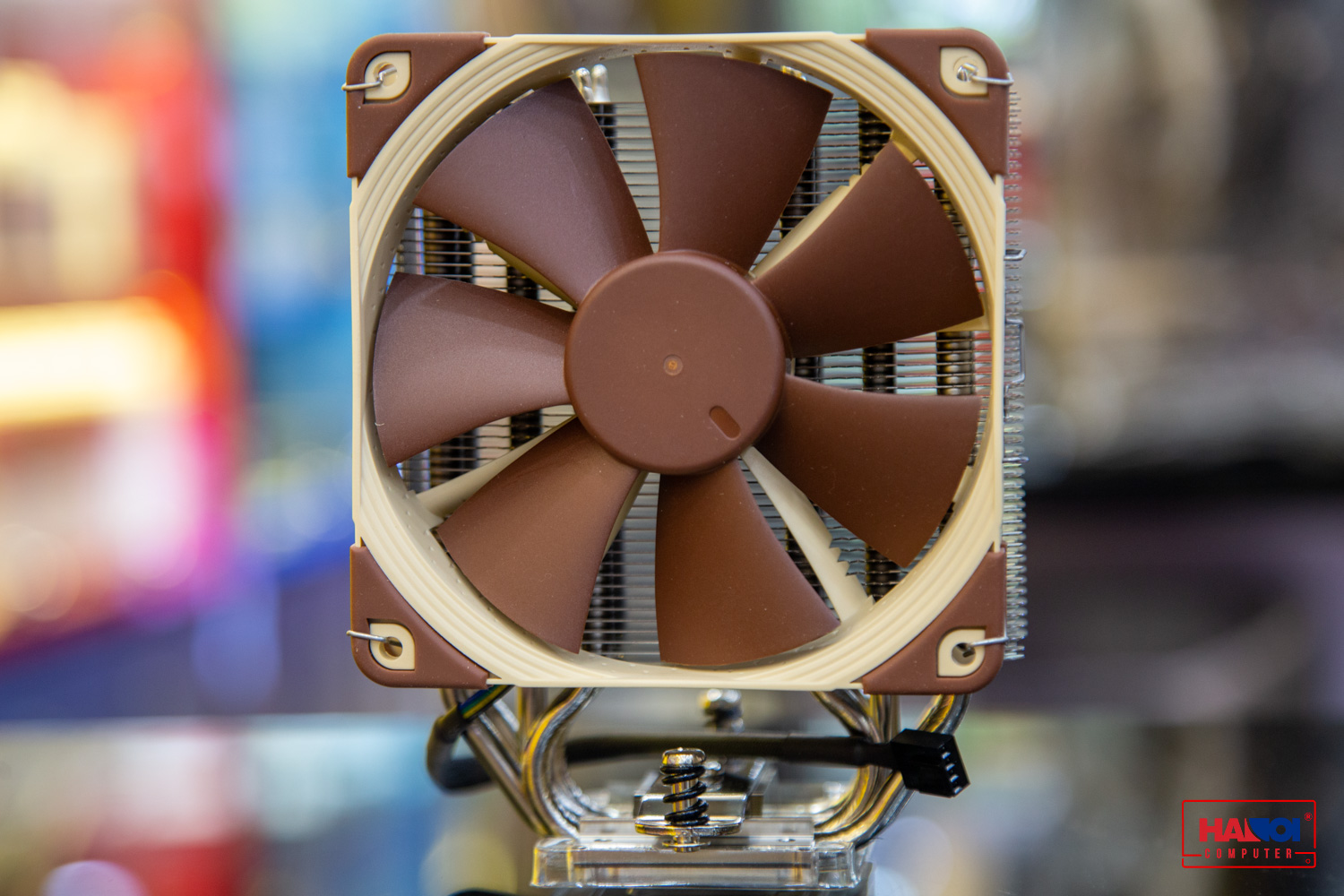asus-dang-ap-u-dong-card-do-hoa-su-dung-tan-nhiet-cua-noctua