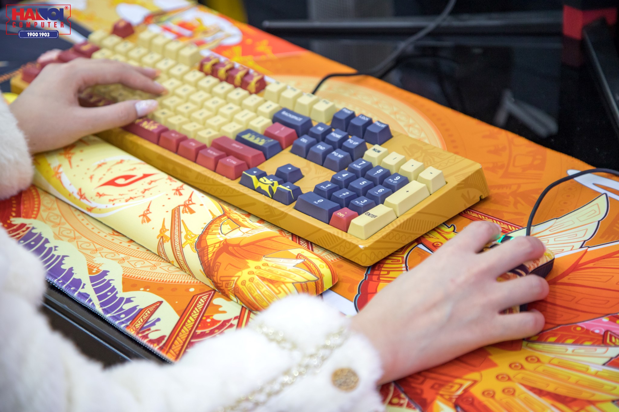 Bộ combo Gaming Gear E-Dra Lạc Hồng 6