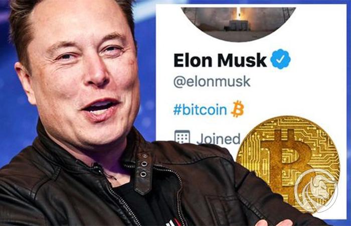 Những bài đăng trên twitter khiến giá các đồng coin tăng cao