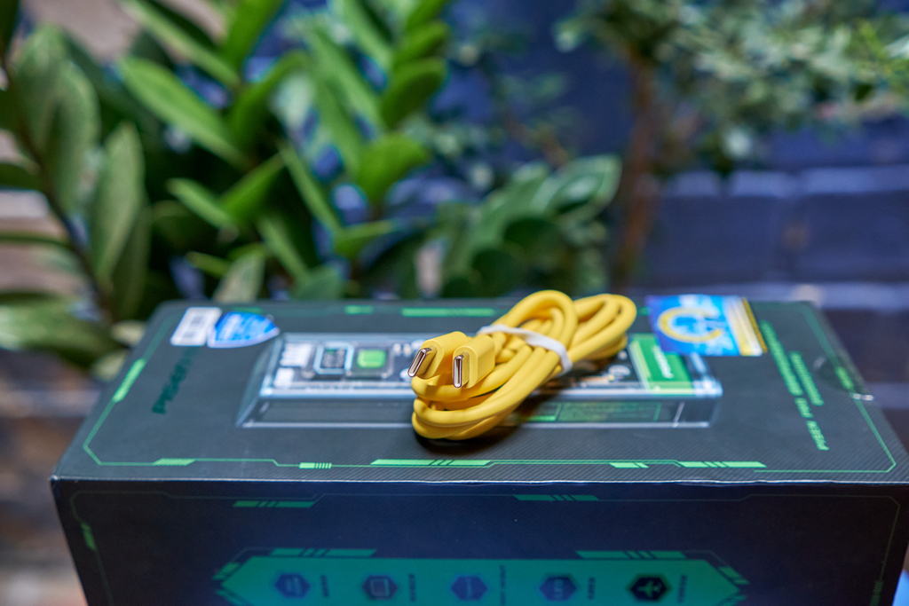 Pisen Pro 20000