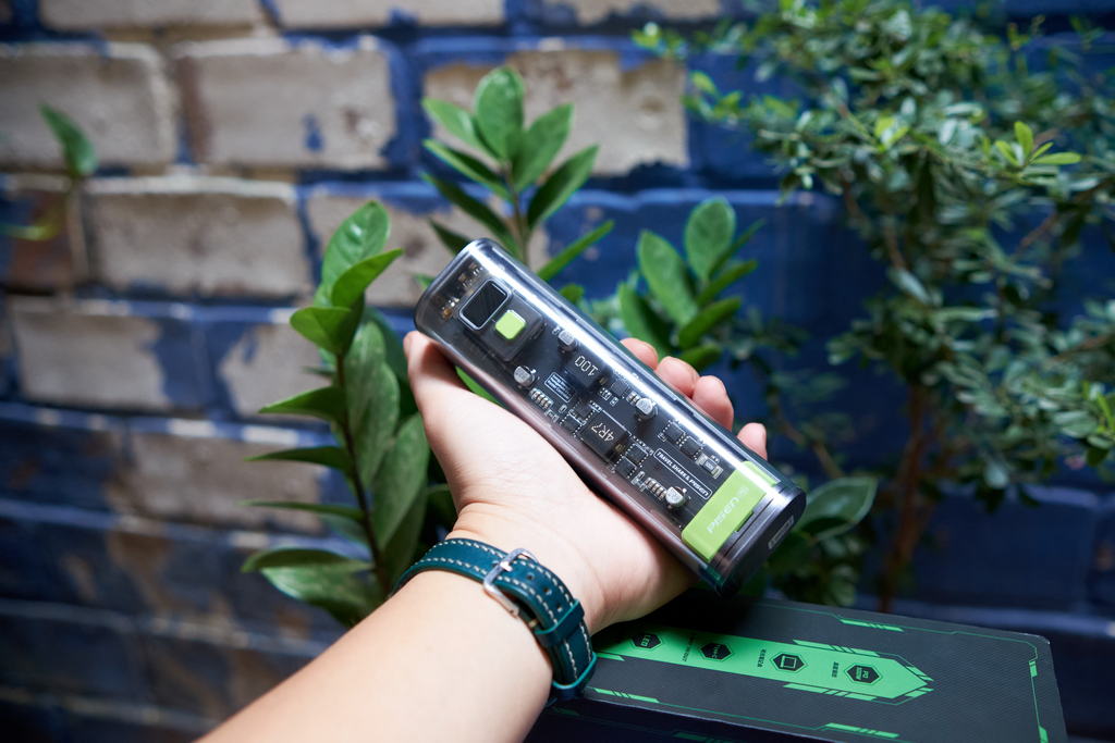 Pisen Pro 20000
